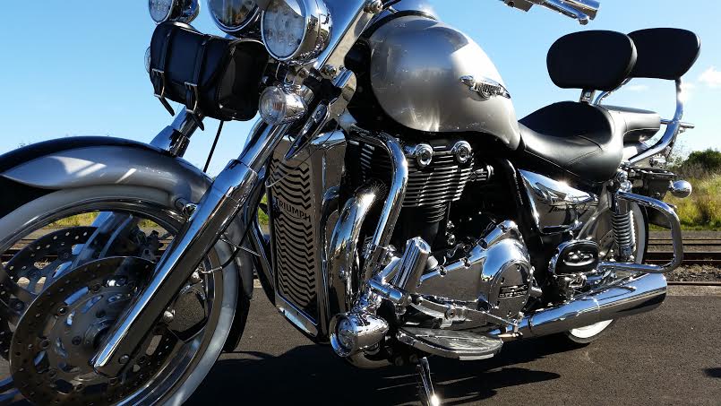 Grill by Beowulf Triumph Thunderbird 1600 1700 Stainless Steel Radiator Guard